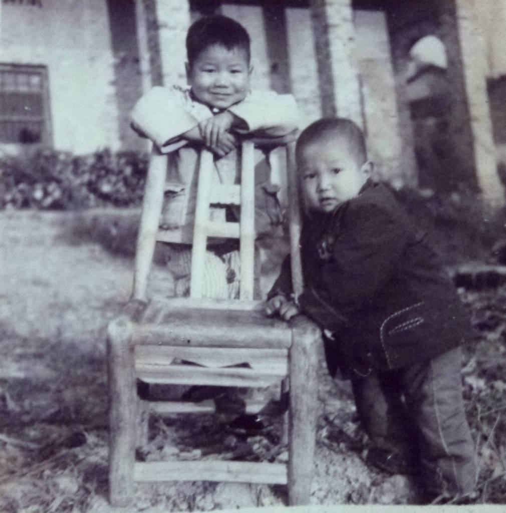 大儿子和小儿子（1984年）