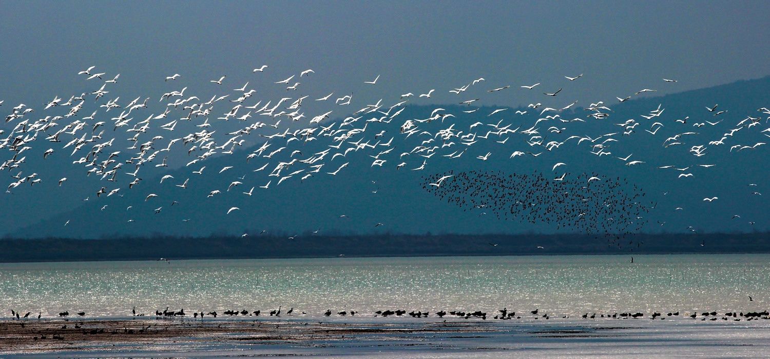网湖水，波连波
