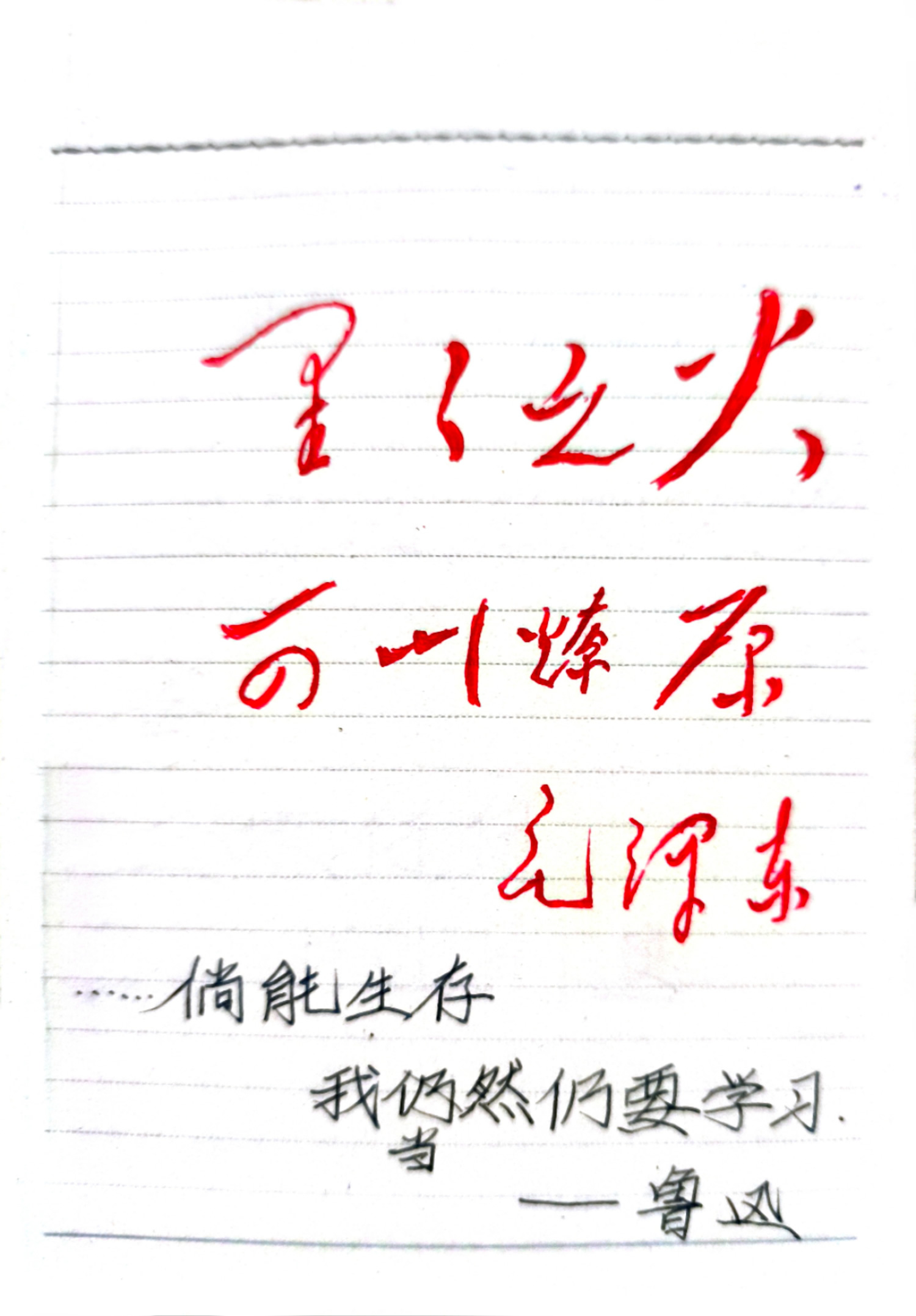 作者其他作品